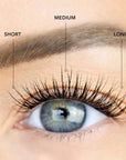 LashSense® Lashes Bloom Box-USA