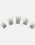 LashSense® Lashes Bloom Box-USA