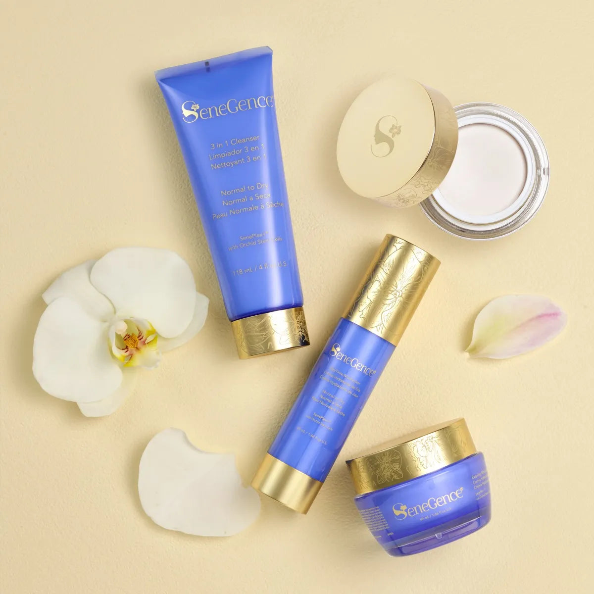 Normal-Dry SkinCare Regimen Set