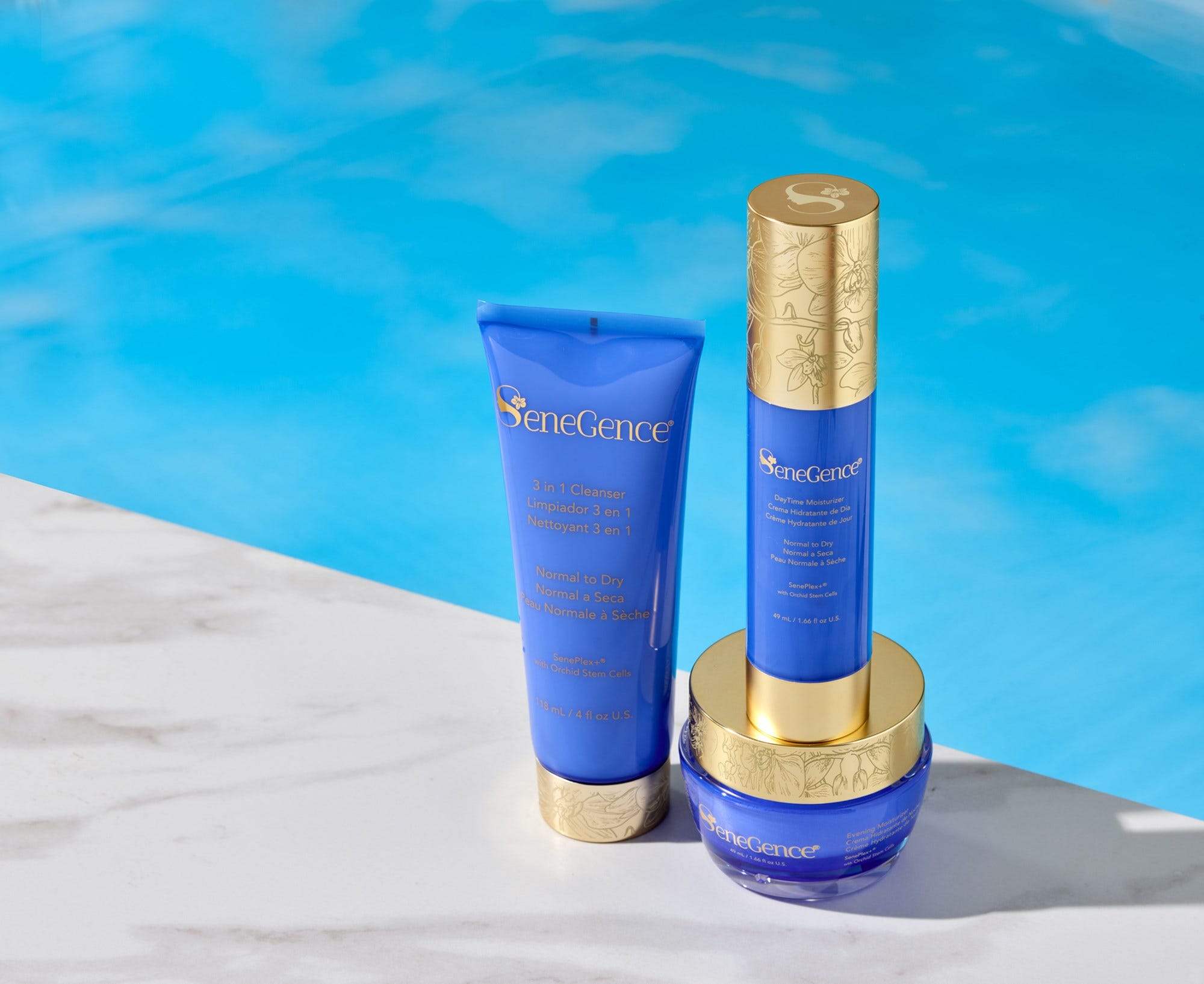 DayTime Moisturizer - Normal to Dry