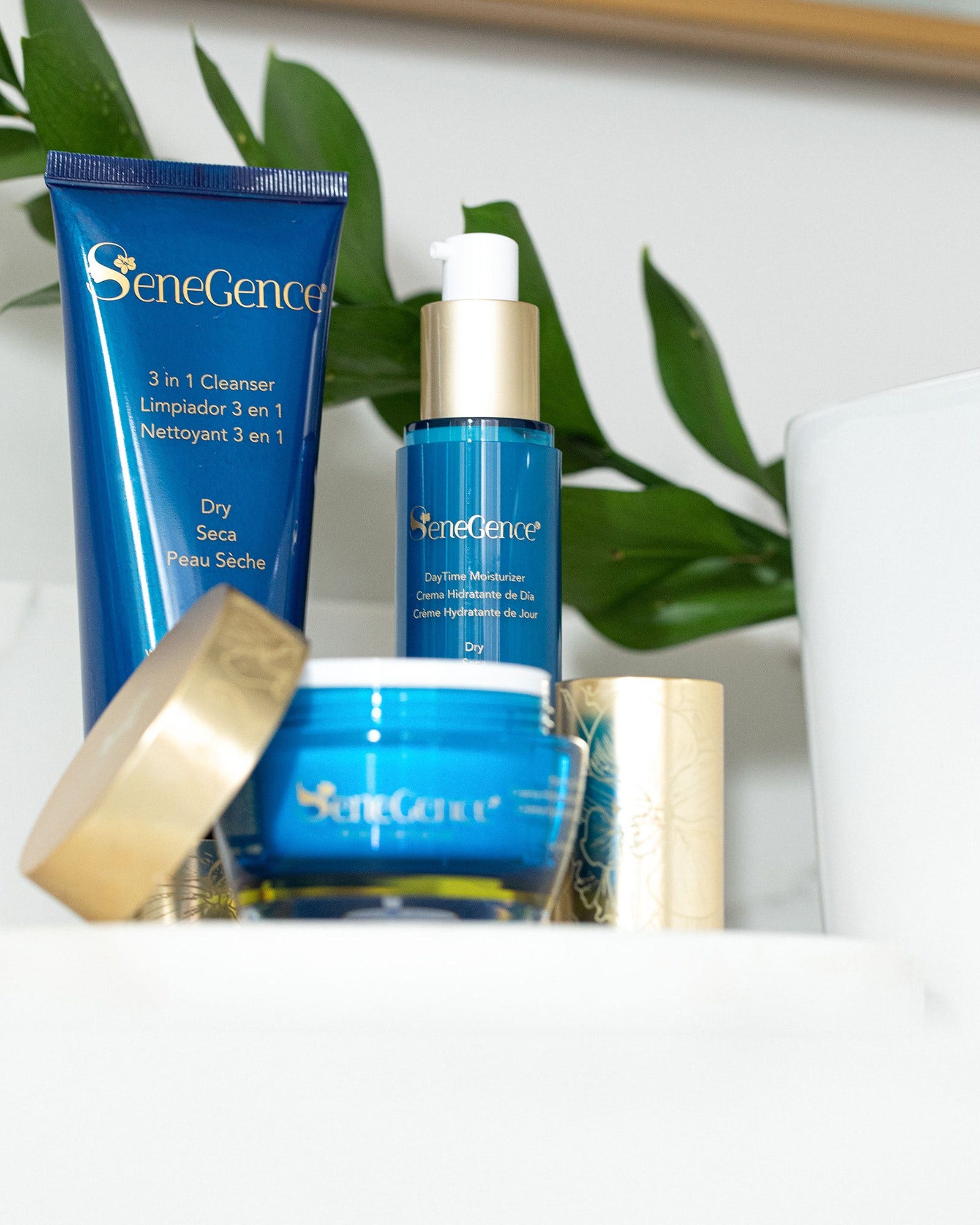 Evening Moisturizer - Dry