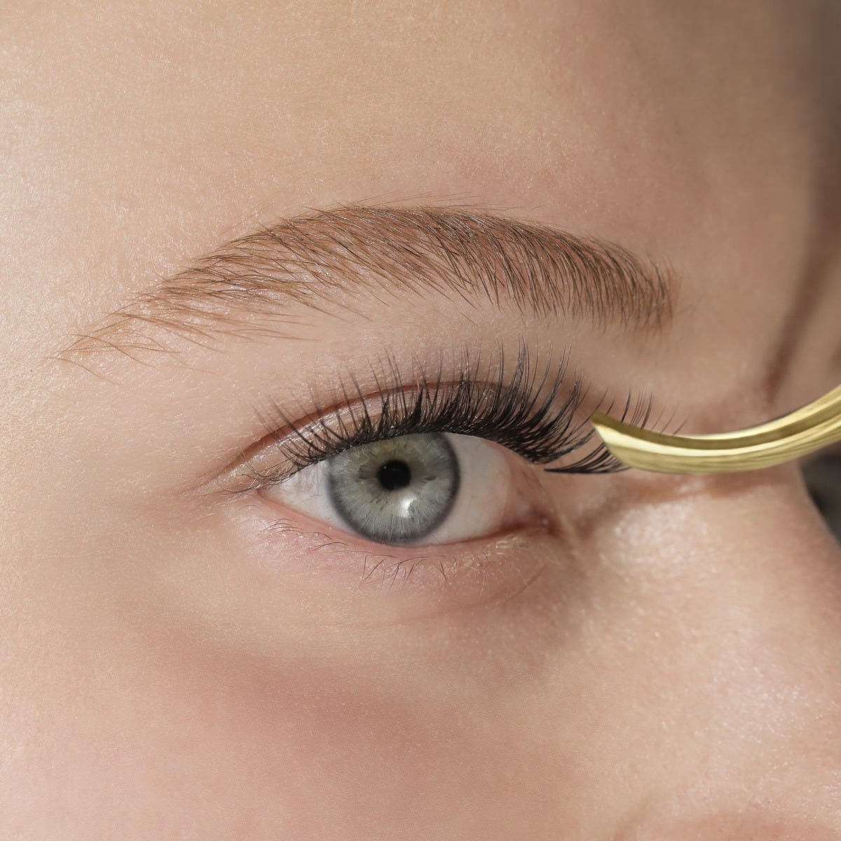 LashSense® Lashes Bloom Box-USA