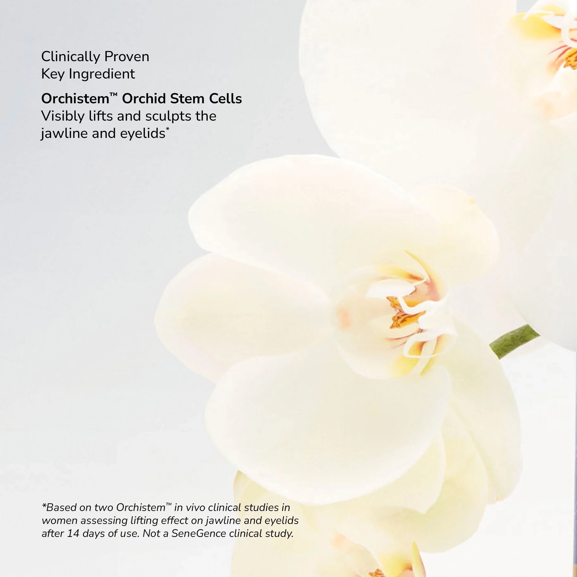 senecell-seneplex-stemcell-concentrate