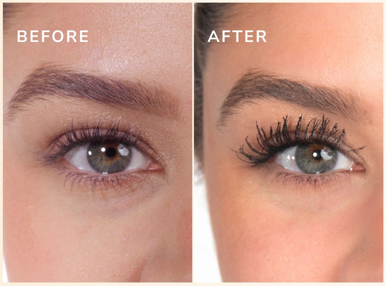 LashSense FiberExtend Mascara